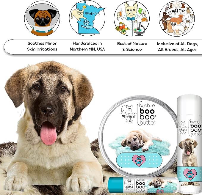 The Blissful Dog Anatolian Shepherd Boo Boo Butter, 2 Ounce