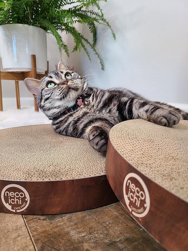 Necoichi Cat Scratcher Bowl Replacement for Indoor Cats - Cat Scratching Lounger with Reversible Usability and Extra Comfort for Lounge, Cardboard Bed Couch / (XL, Dark Cherry)