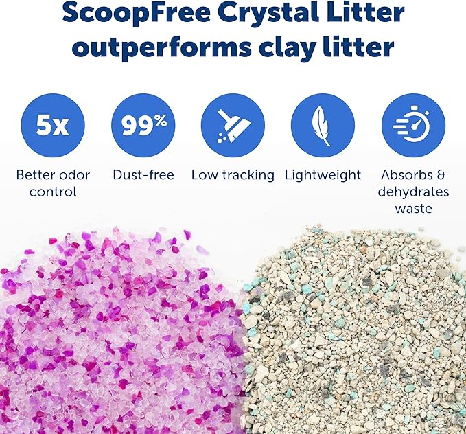 PetSafe ScoopFree Disposable Crystal Cat Litter Tray - Easy Cleaning Box - Refill Tray for Automatic Litter Box - Lavender Scent - 4.3 lb Bags - 6 Pack