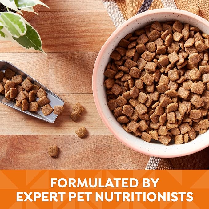 Nature’s Recipe Grain Free Chicken, Sweet Potato & Pumpkin Recipe Dry Dog Food, 24 lb. Bag