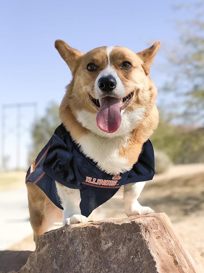 Pets First NCAA College Illinois Fighting Illini Mesh Jersey for DOGS & CATS, X-Small.Licensed Dog Jersey with your Favorite Football/Basketball College Team