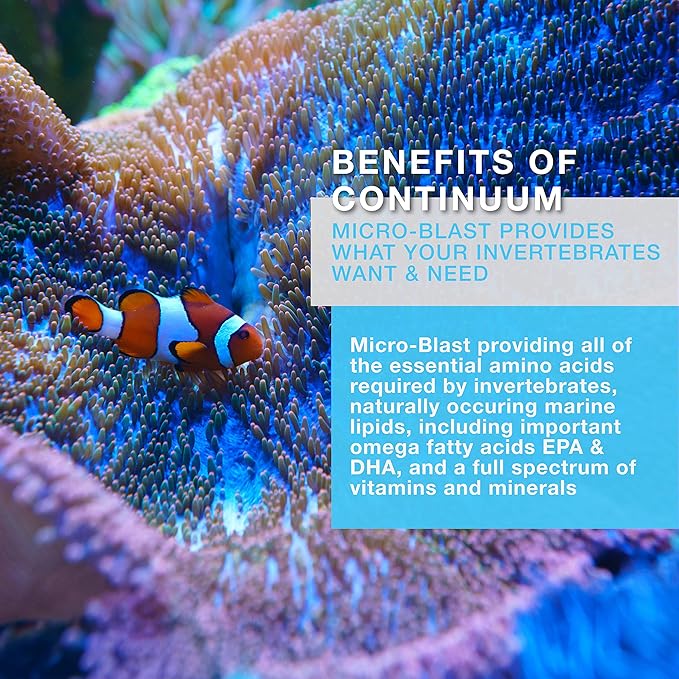 Continuum Aquatics Brightwell Aquatics Micro-Blast - invertebrate food for live corals, feather dusters, gorgonians, and other fine filter feeders, 500 ml