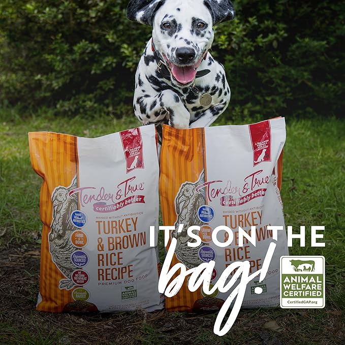 Turkey & Brown Rice Recipe Dry Dog Food