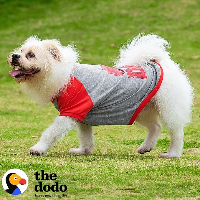 The Dodo #1 Dog T-Shirt for Dogs, Size Small; Black Dodo Print, Everyday Apparel for Dogs, Cute Dog Tee, Cute Clothes for Dogs, The Dodo for Dogs Collection