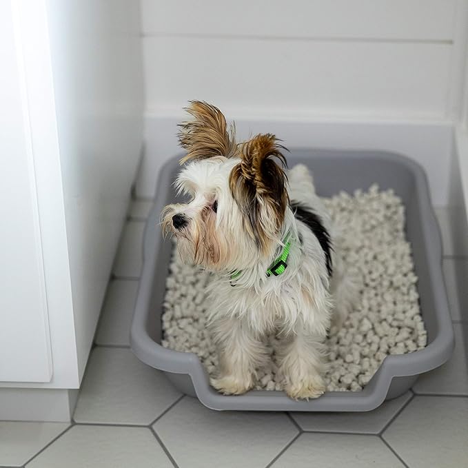 Natural Paper Dog Litter
