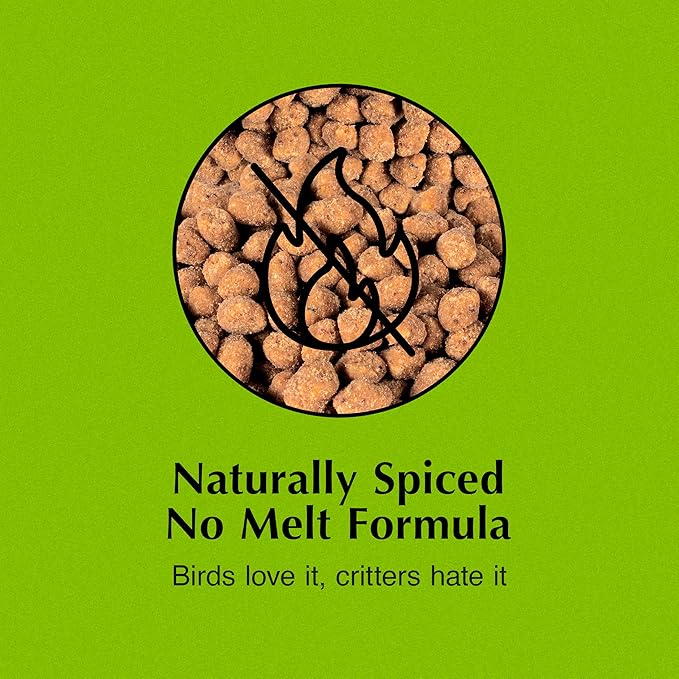C&S Hot Pepper Suet Nuggets, Outdoor Wild Bird Food for Woodpeckers, Chickadees, Cardinals, Nuthatches and More, 27 Ounces