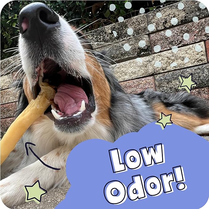 Pawstruck All Natural 5-6" Roasted Collagen Sticks for Dogs – Low Odor & Long-Lasting Bully Stick Alternative, Single Ingredient & Vet Approved – 40 Pack