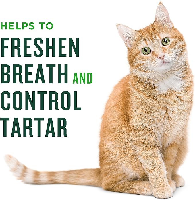 Minties Dental Treats for Cats, Salmon Flavor | 10oz | Pack of 2 | Freshens Breath | Controls Tartar