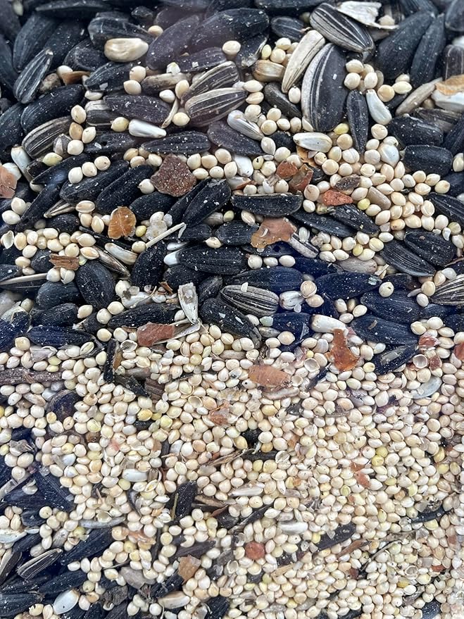 Bits N Things Wild Bird Food | Made in USA & All Season | (5.5 lbs., Fruit and Nut Mix)