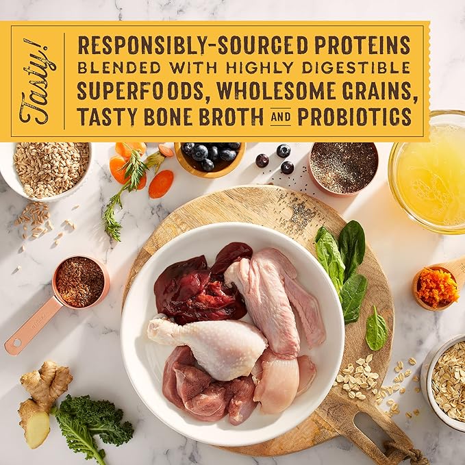 Stella & Chewy's SuperBlends Raw Coated Wholesome Grains Cage-Free Chicken & Duck Recipe with Superfoods, 21 lb. Bag