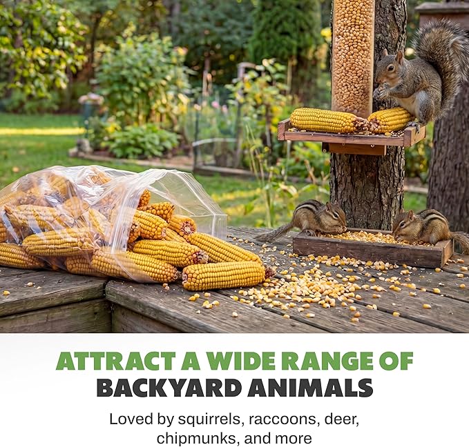 JCs Wildlife Dried Corn on the Cob for Wildlife, Natural Feed for Squirrels, Deer, Raccoons, Rabbits, Ducks, Geese & Backyard Critters, Breathable Packaging, 14 lb Bags (3 Packs)