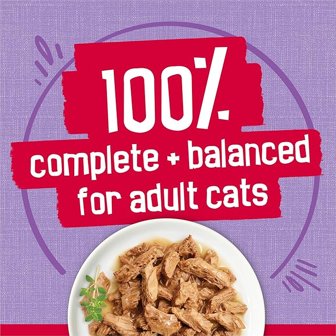 Friskies Purina Prime Filets Turkey Dinner in Wet Cat Food Gravy - 5.5 oz. Cans (Pack of 48)