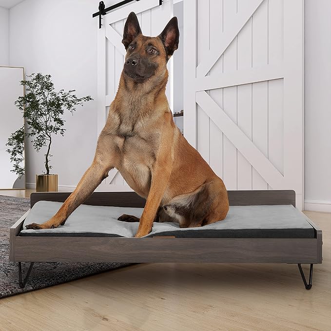 Wooden Dog Bed and Dog Couch with Water-Resistant and Calming Mattress, Large to Extra Large Elevated Pet Bed, Greenguard Gold Certified, Dog Beds & Furniture, Chase - TailZzz