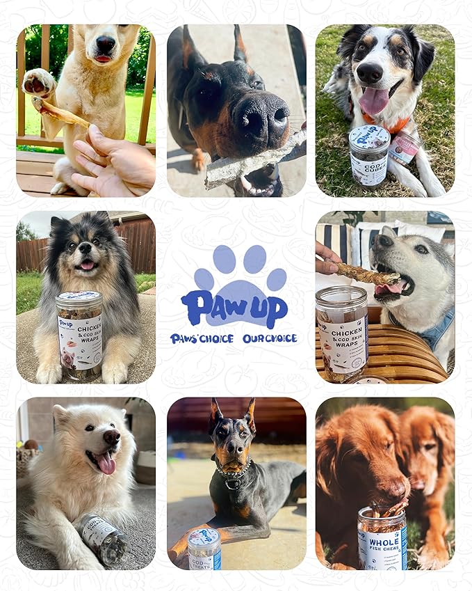 PAWUP Dried Whole Fish Dog Treats, High Protein & Omega-3 for Skin & Coat, Training Rewards for Small & Medium Dogs, Grain Free, 8 oz
