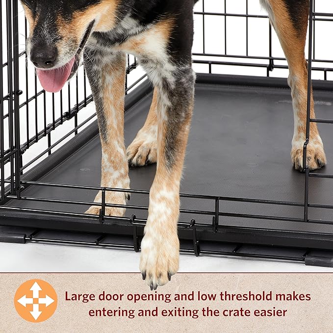 MidWest Homes for Pets 24-Inch LifeStages Crate for Small Breeds, 12-20 lbs, Double Door Folding Dog Crate with Divider Panel, Leak-Proof Tray & Secure Latch, Heavy-Duty & Easy to Assemble