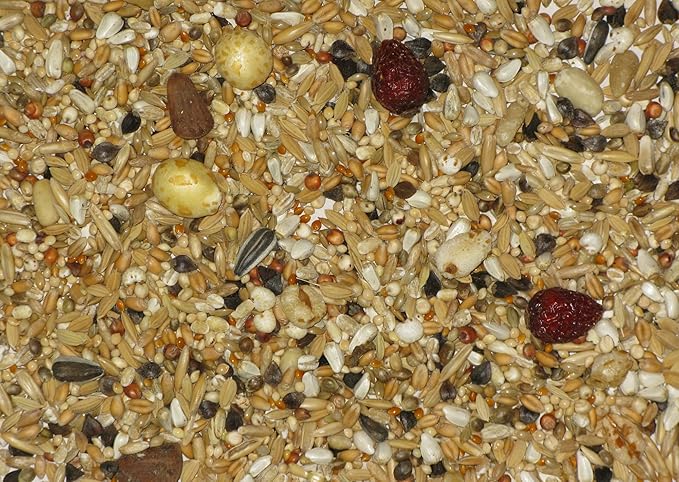Australian Parrot, 2 kg (4.4 lbs) Pour Spout Bag