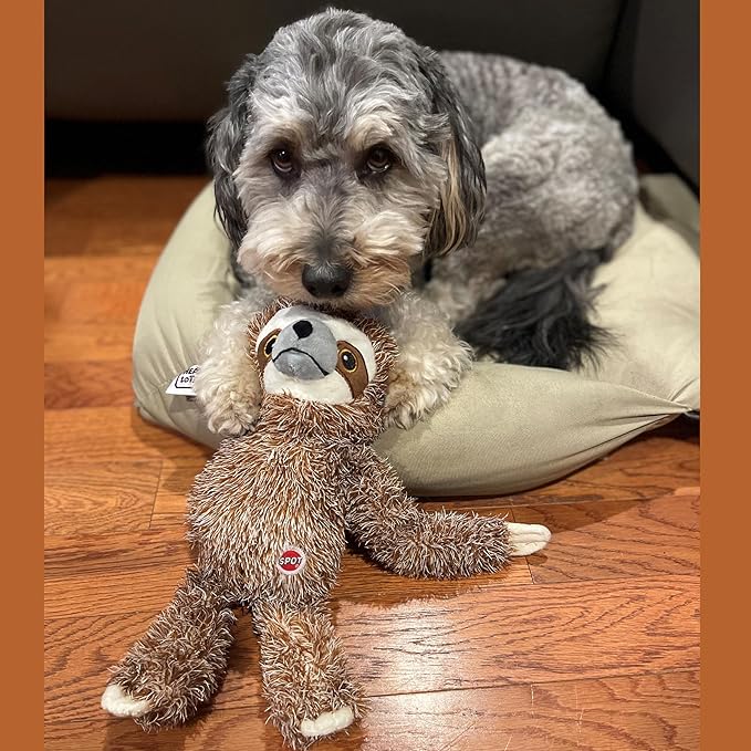SPOT Fun Sloth Dog Toy - Soft, Stuffed, Squeaky, Plush Fabric Toy for Medium and Large Dogs and Puppies, Enrichment for Light Chewers and Cuddlers, 13in