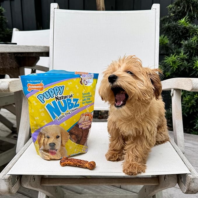 Nylabone Nubz Natural Dog Chew Treats for Puppies, Long Lasting Dog Bones Made in USA, Puppy Training Treats, Turkey & Sweet Potato Flavor, for Small Dogs Up to 25 lbs. (28 Count)