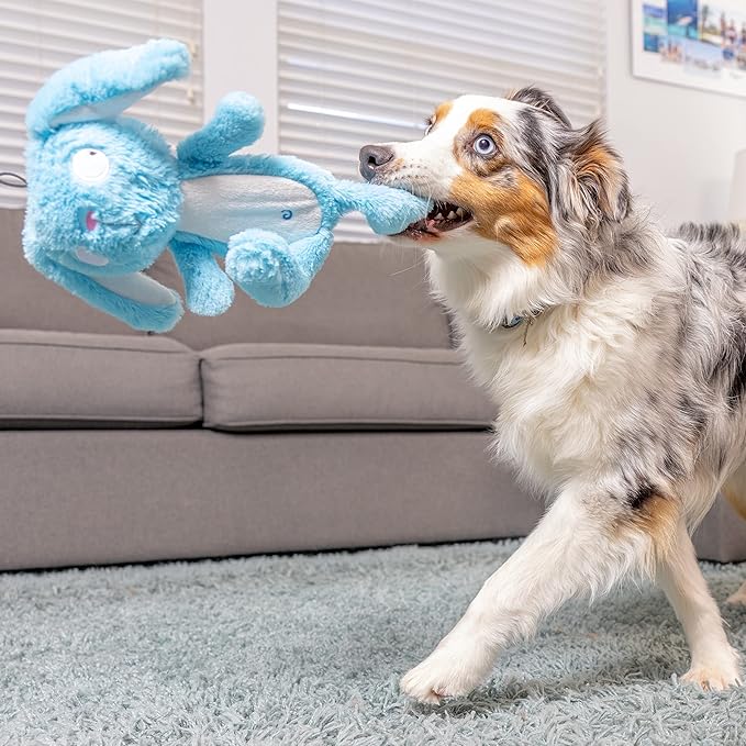 Huxley & Kent Slappies for Dogs | Betty Bunny (Large) | Squeak & Shake Dog Toy | No Stuff Squeaky Toy, TPR Ball in Head | Simulates Hunting Nature for Dogs