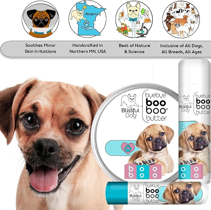The Blissful Dog Puggle Boo Boo Butter, 4-Ounce