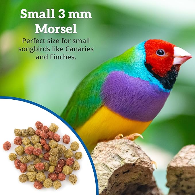 Scenic Allprem Canary and Finch Bird Food | Formulated Diet | Apple and Corn Flavor | 1 Pound Bag (1 LB)