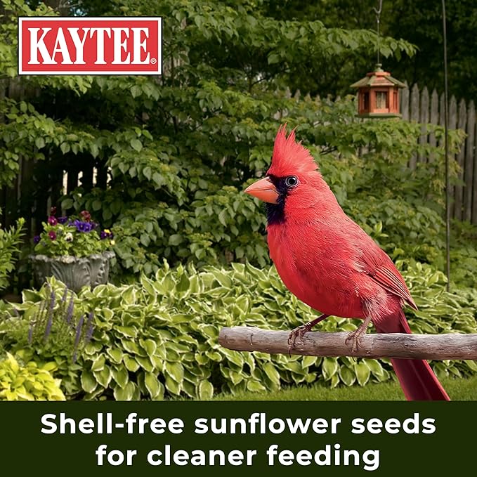 Kaytee Wild Bird (No Mess or Waste Free) Food Seed Blend For Blue Jays, Woodpeckers, Juncos, Cardinals, Grosbeaks, Sparrows, and Finches, 10 Pound, (Packaging May Vary)