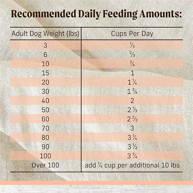 Merrick Limited Ingredient Diet Premium And Natural Kibble With Healthy Grains, Salmon And Brown Rice Dog Food - 22.0 lb. Bag