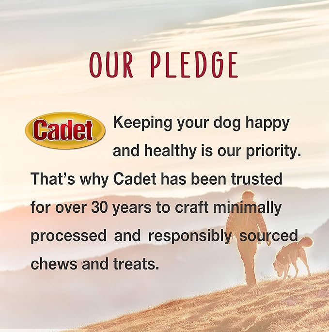 Cadet Stuffed Shin Bone, Long-Lasting Dog Chew Bones for Aggressive Chewers, High-Protein Filled Bone Dental Chew for-Dogs, Bacon & Cheese Flavor Filling, 5-6" for Large Dogs (Pack of 2)