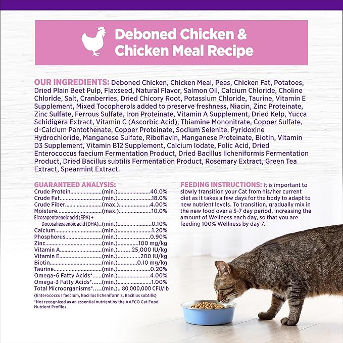 Wellness Complete Health Kitten Dry Cat Food, Natural, Grain Free Kibble, Chicken Recipe, 5.5 lb Bag