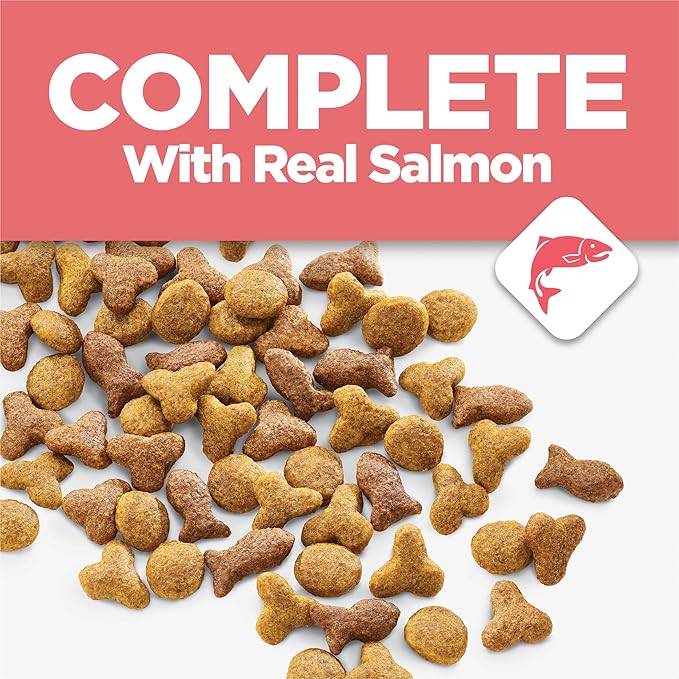 Purina Cat Chow Complete High Protein Dry Cat Food With Real Salmon - (Pack of 4) 3.15 lb. Bags