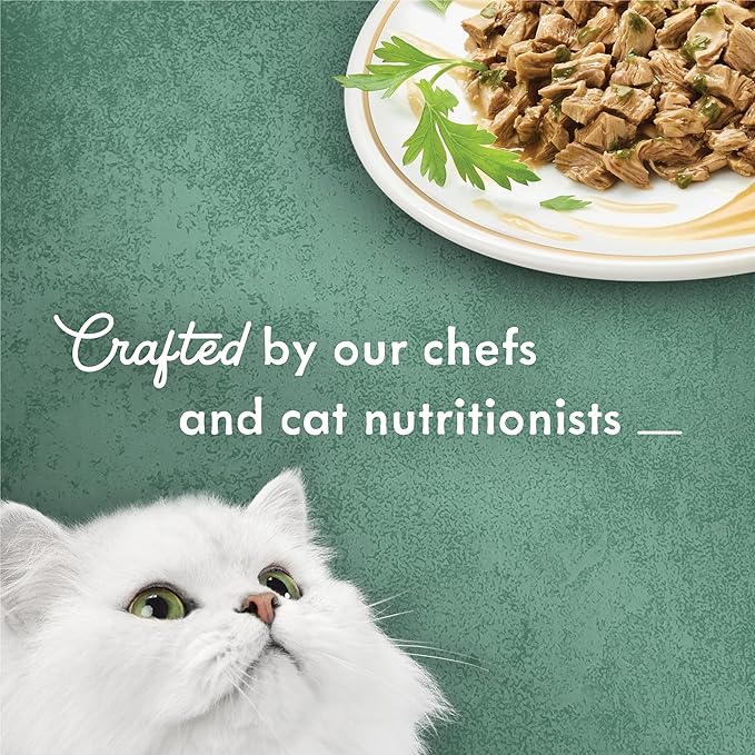 Purina Fancy Feast Wet Cat Food Medleys Turkey Florentine With Spinach in a Light Cat Food Broth - (Pack of 24) 3 oz. Cans