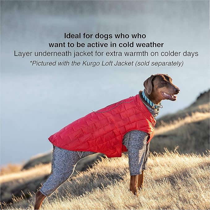 Kurgo Stowe Base Layer - Comfortable, Cold-Weather Pet Wear - Breathable Snug Fit - Dual-Zipper Dog Onesie - Reflective Side Seams - Dog Pajamas - Machine Washable - Small - Black/Grey