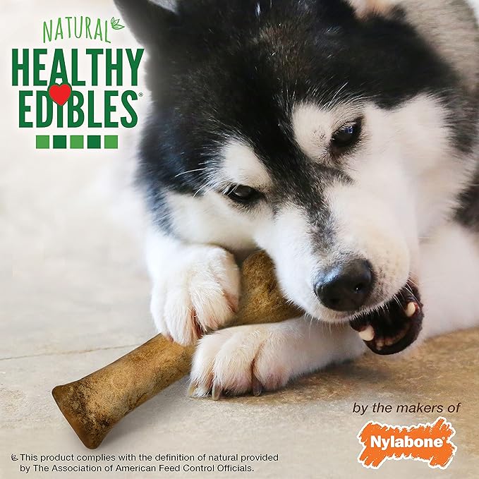 Nylabone Healthy Edibles Natural Dog Chews Long Lasting Bacon Flavor Treats for Dogs,X-Large/Souper,(Pack of 2)