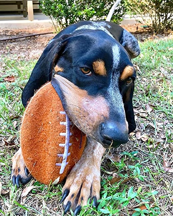 Nylabone Power Play Felt Football Gripz Fetch Toy, Squeaky Ball Chew Toy for Dogs, Large (1 Count) (Pack of 5)