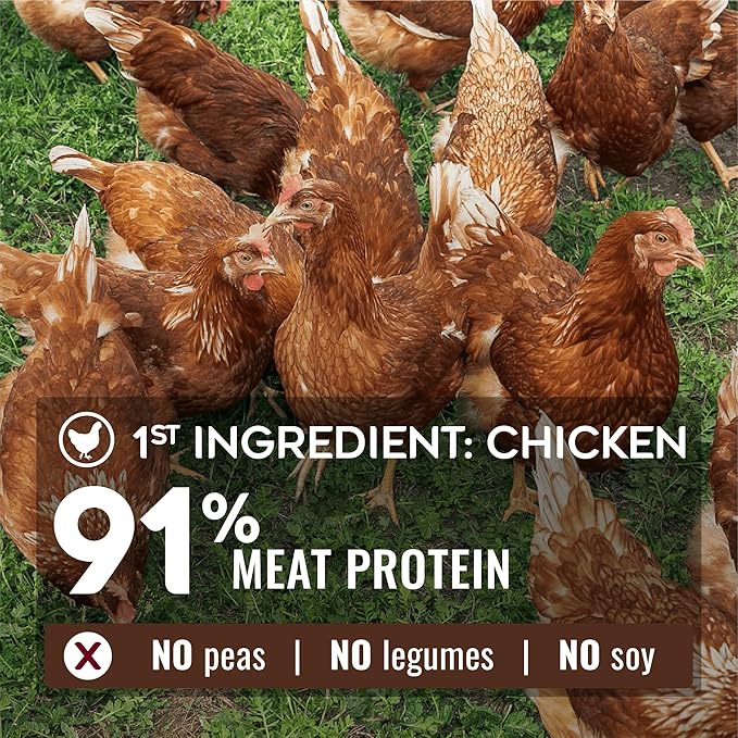 Nature’s Logic Pure Naturals™ 100% Natural Chicken Recipe Synthetic-Free Dry Dog Food, 12 lbs