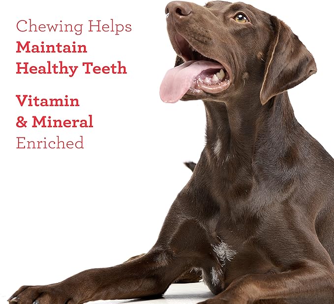 DreamBone Twist Sticks Chews Wrapped With Real Chicken, Treat Your Dog to Easy-to-Digest Rawhide-Free Chews, 50 Count
