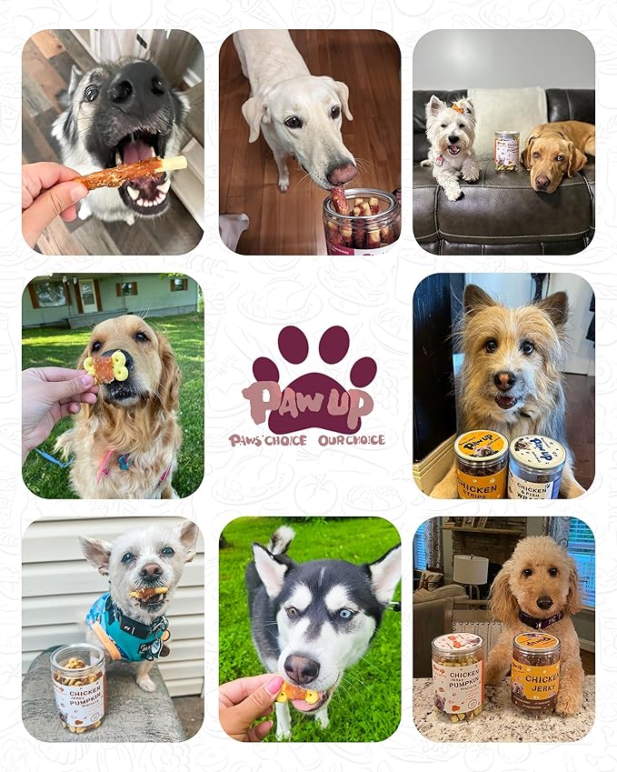 PAWUP Dog Treats Pumpkin Biscuits Sticks w/Duck Low Fat Dog Snacks, Healthy Biscuits with Taurine for Small Dogs, 12.5 oz (28-32 Count