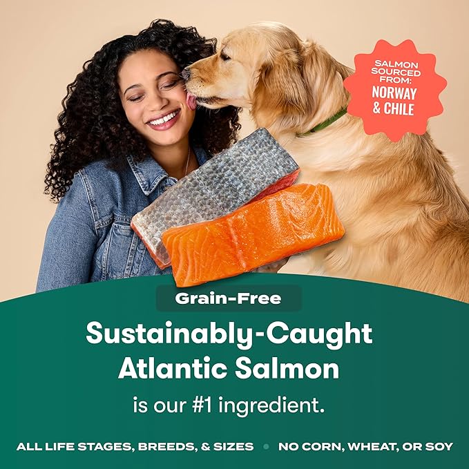 Jinx Premium Grain-Free Dry Dog Food, for All Lifestages - Real Salmon, Sweet Potato & Carrot Puppy Kibble with Superfoods for Immune Support & Probiotics for Digestive Support - No Fillers - 4lb