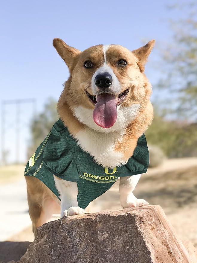 Pets First NCAA College Oregon Ducks Mesh Jersey for DOGS & CATS, Large. Licensed Dog Jersey with your Favorite Football/Basketball College Team