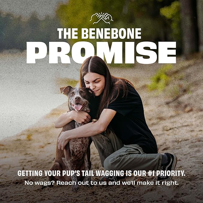 Benebone Durable Rubber Dog Toy Ball, Limited Edition Americana 250, One Size