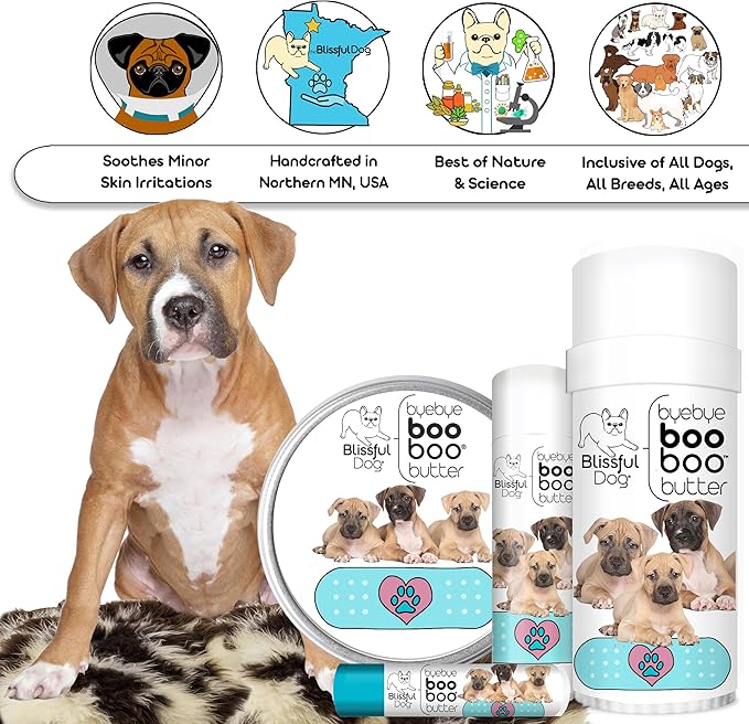 The Blissful Dog BB-AMSTAFF-16OZ Samoyed Boo Butter