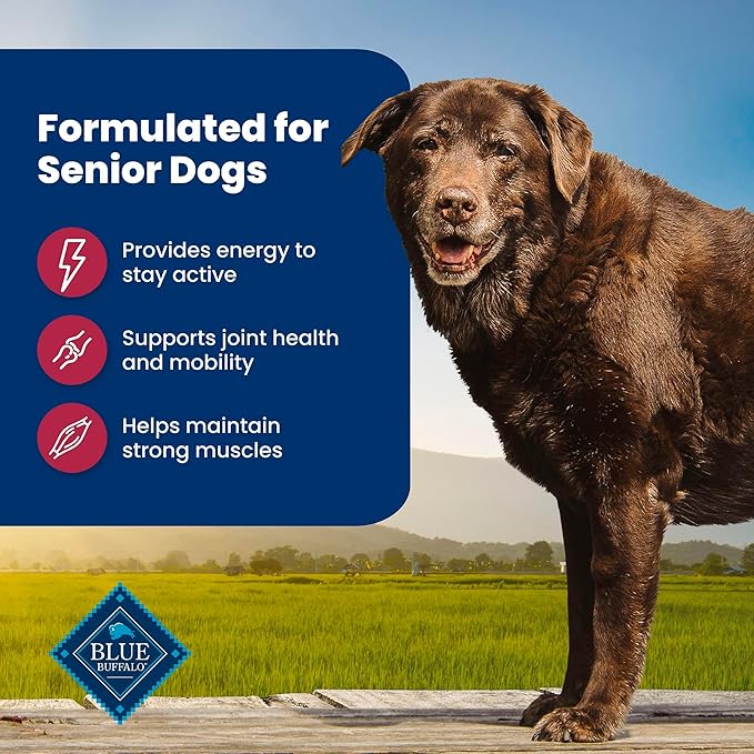 Blue Buffalo Life Protection Formula with LifeSource Bits, Senior 7+ Dry Dog Food, Salmon and Brown Rice Recipe, Chicken Free Formula, 30 lb. Bag