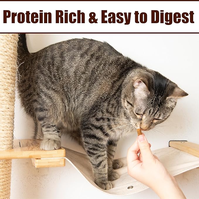Fieldcrest Farms Nothin’ to Hide Collagen Cat Treats – Crunchy & Creamy Cat Snacks, High-Protein Healthy Treats for Skin, Coat & Joint Support, Salmon Flavor, 3 oz.