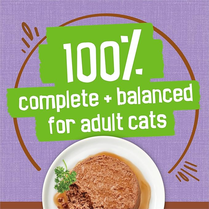 Purina Friskies Wet Cat Food Pate with Turkey in Savory Gravy - (Pack of 24) 5.5 oz. Cans