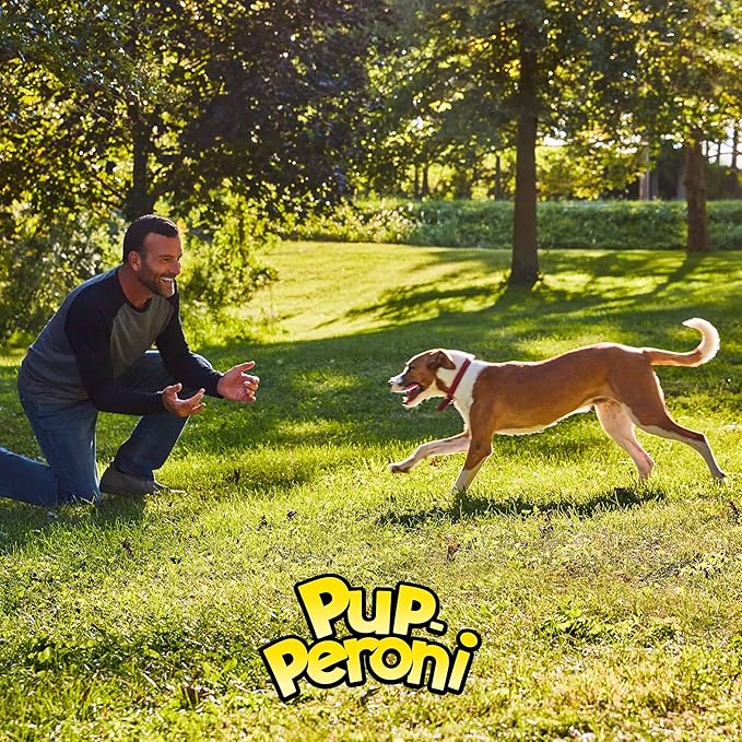 Pup-Peroni Filet Mignon & Bacon Flavor Dog Treats, 22.5 Oz. Bag