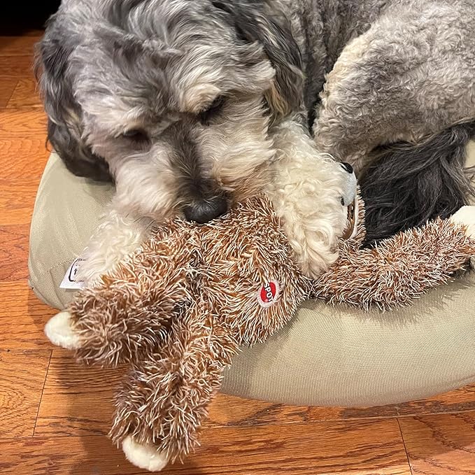 SPOT Fun Sloth Dog Toy - Soft, Stuffed, Squeaky, Plush Fabric Toy for Medium and Large Dogs and Puppies, Enrichment for Light Chewers and Cuddlers, 13in