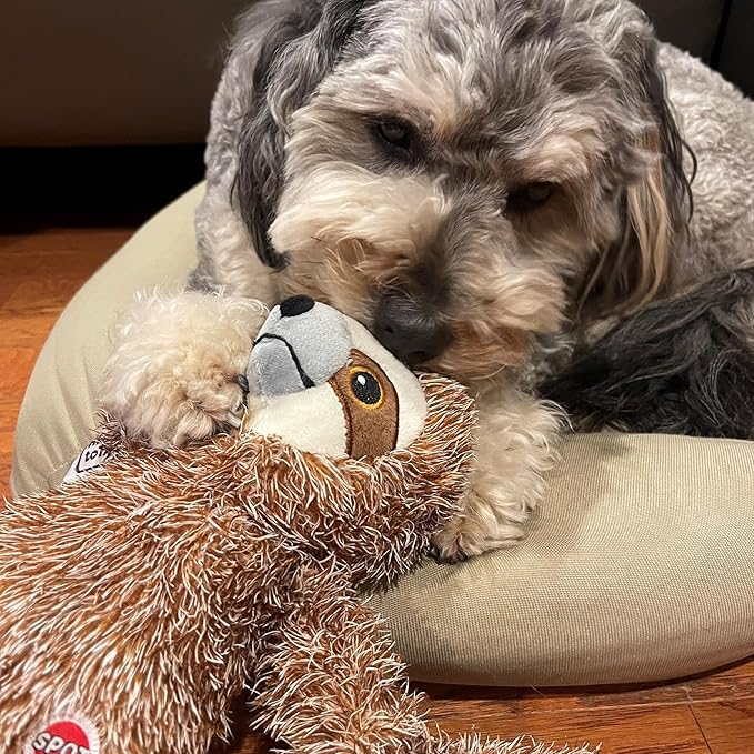 SPOT Fun Sloth Dog Toy - Soft, Stuffed, Squeaky, Plush Fabric Toy for Medium and Large Dogs and Puppies, Enrichment for Light Chewers and Cuddlers, 13in