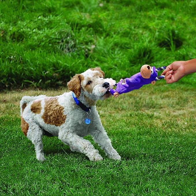KONG - Tugger Knots Moose - Tug of War Dog Toy, Minimal Stuffing and Looped Ropes for added Strength - For Medium/Large Dogs