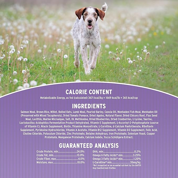 Annamaet Original Option Formula Dry Dog Food, 24% Protein (Salmon & Brown Rice), 40-lb Bag