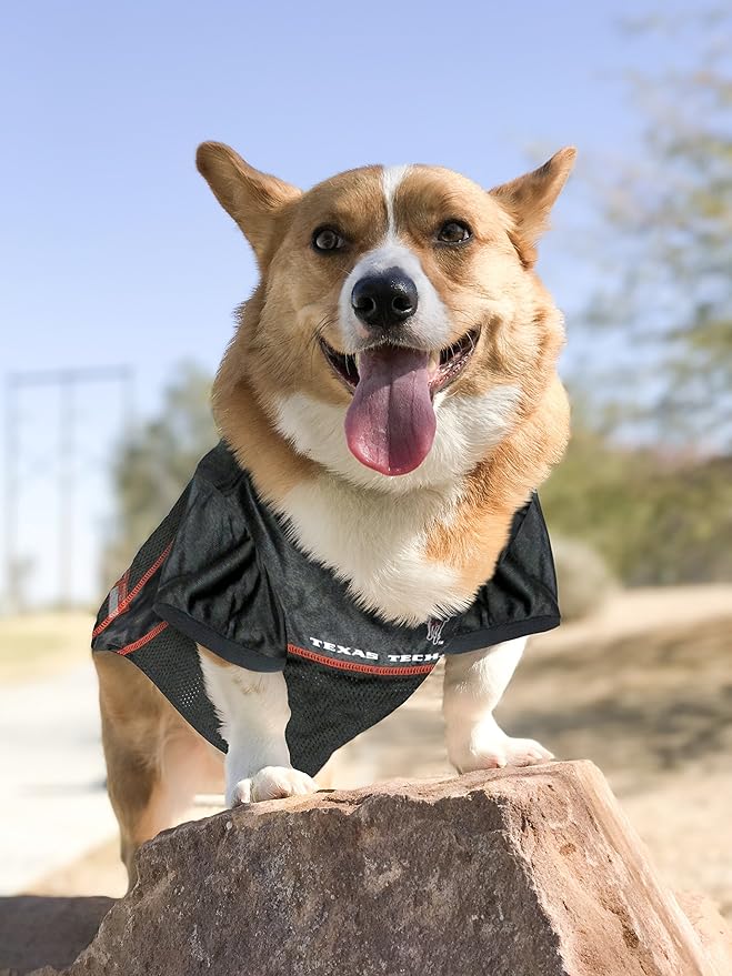 Pets First NCAA College Texas Tech Red Raiders Mesh Jersey for DOGS & CATS, X-Large. Licensed Dog Jersey with your Favorite Football/Basketball College Team
